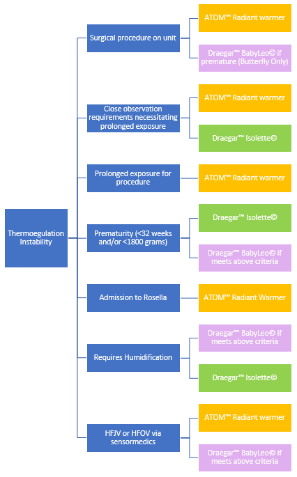 Assisted Thermoreg neonate 2020 flowsheet